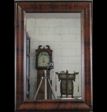A 19th Century rosewood framed mirror